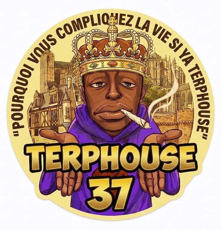 Logo 37